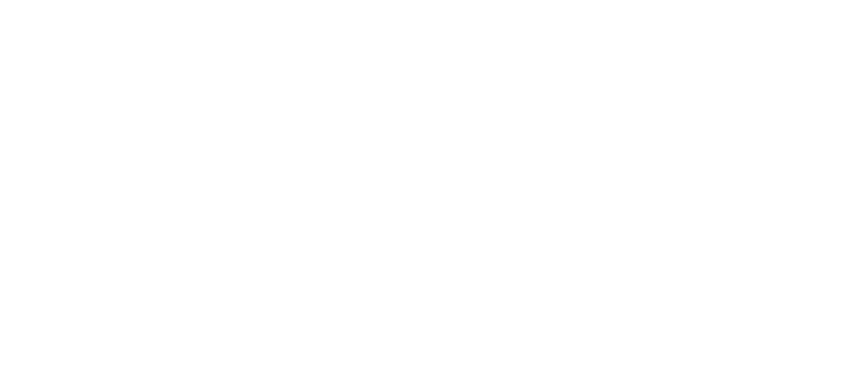 Network_logo26-White